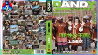ดูหนังโป๊ฟรี XXX JAV  DANDY-368 สาวน้อย ไอ อุเอฮา ตะลุยป่าแอฟริกา เย็ดกับหนุ่มผิวสีเจ้าของชนเผ่าโดนจัดหนักซอยหียืนเย็ดกลางป่า